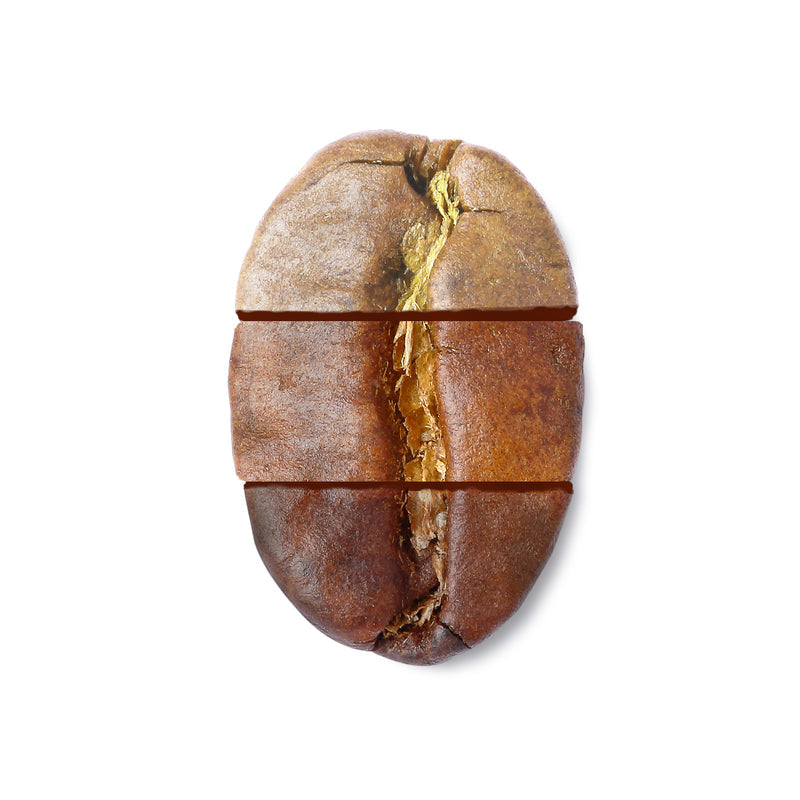 Coffee Roast Levels