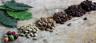 What is speciality coffee?