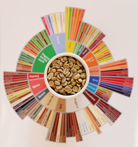 Sca Scale Understanding the SCA Scale – Coffee Collective
