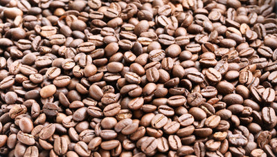 India Monsoon Coffee Beans: Unique Flavour Profile