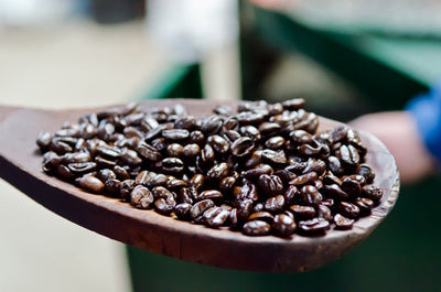 Tarrazu San Rafael Coffee: October Coffee of the Month