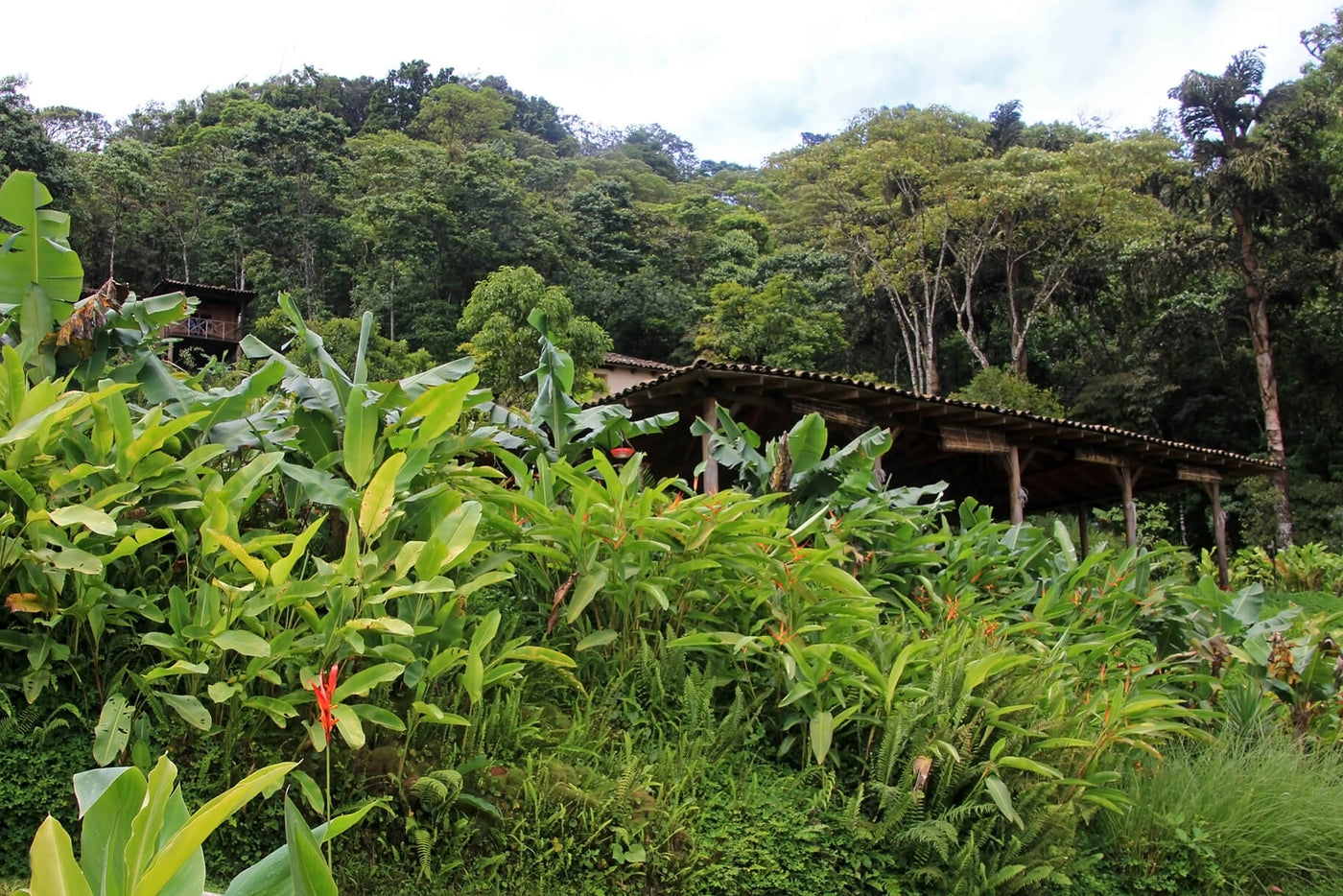 Nicaragua