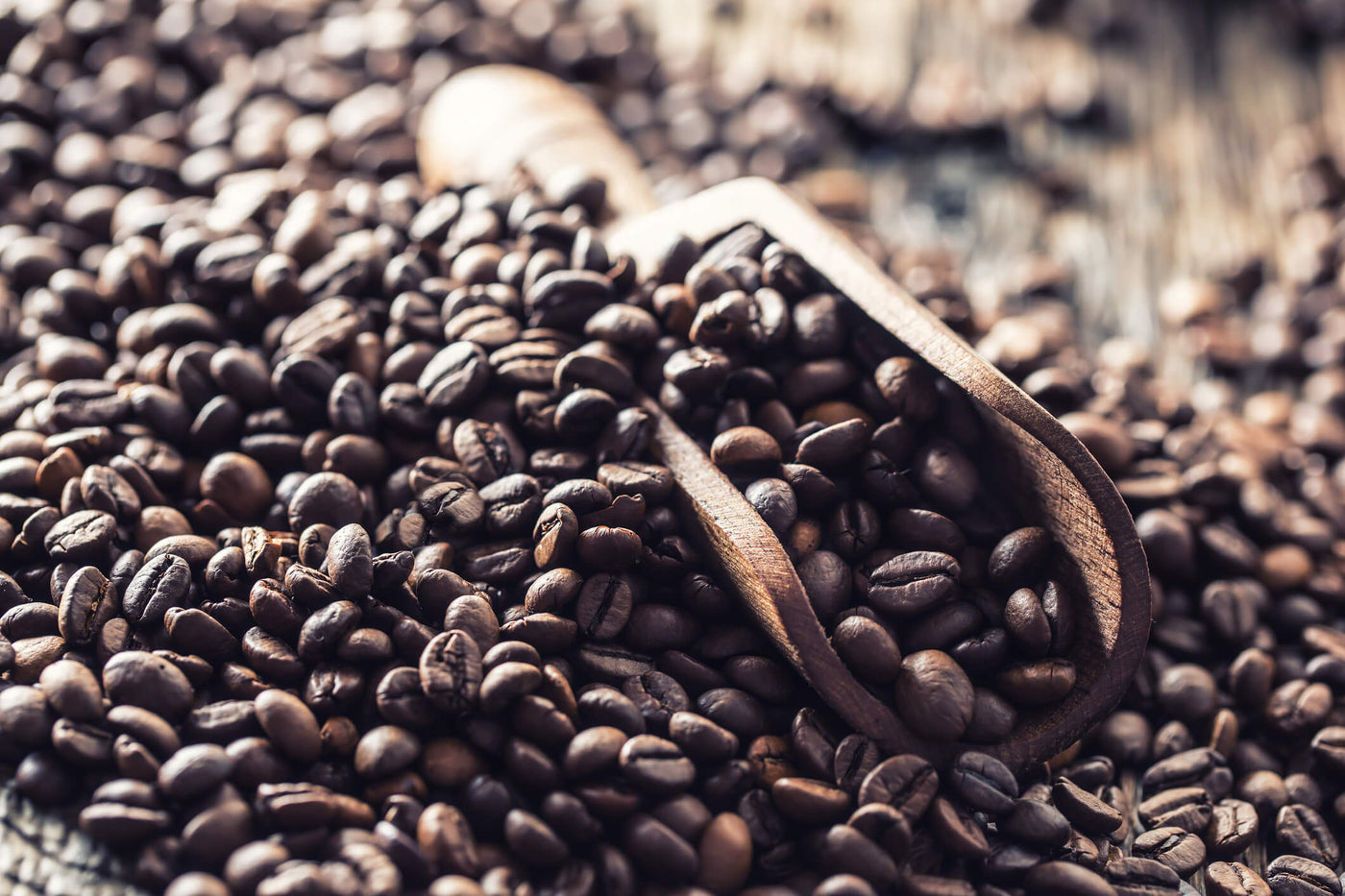 Coffee Subscriptions