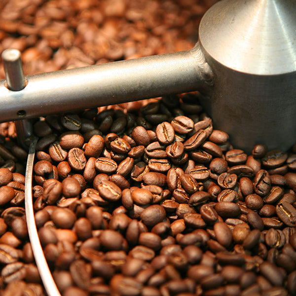 Close-up of freshly roasted coffee beans from Coffee Collective